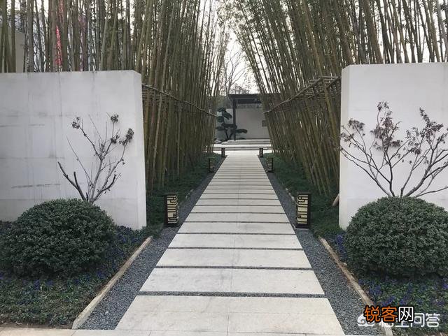 心眼多和小心眼,大气和傻气有什么区别,又有什么联系？