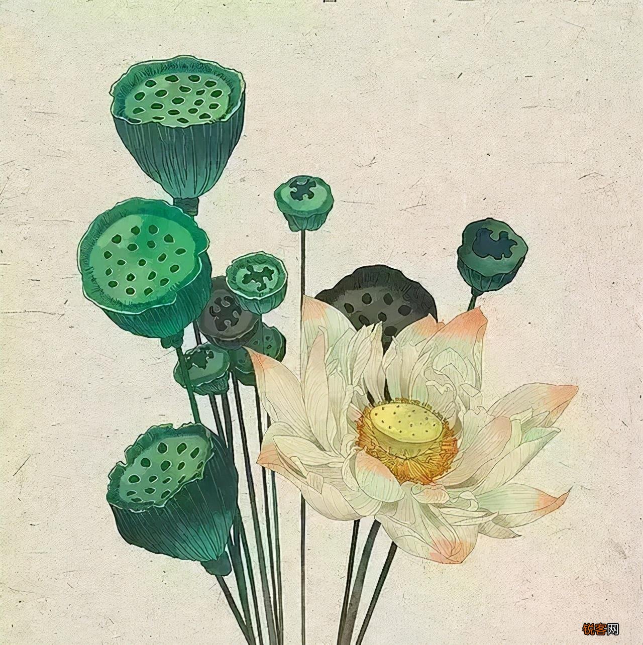 脑筋急转弯 搞笑又好玩