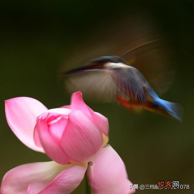 相机用慢门能拍什么作品？