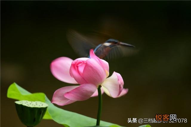 相机用慢门能拍什么作品？