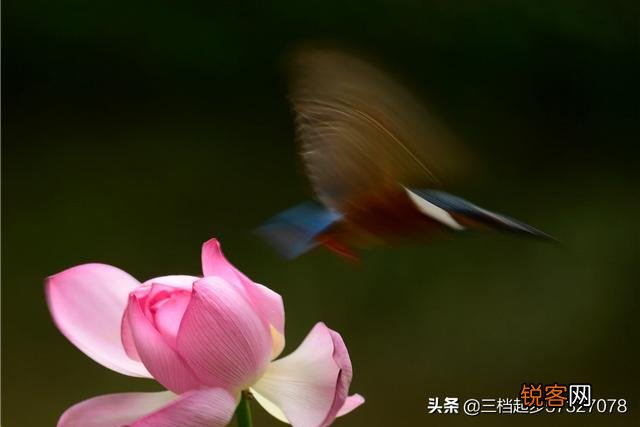 相机用慢门能拍什么作品？