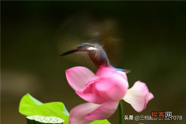 相机用慢门能拍什么作品？