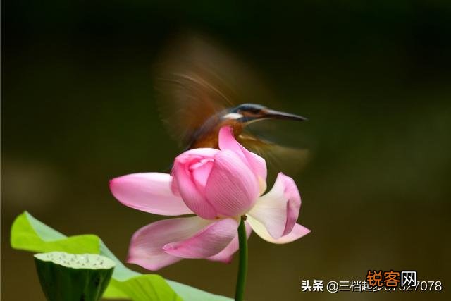 相机用慢门能拍什么作品？