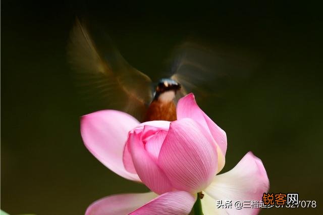 相机用慢门能拍什么作品？