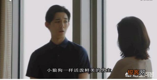 日剧《贤者之爱》可以悟出什么？