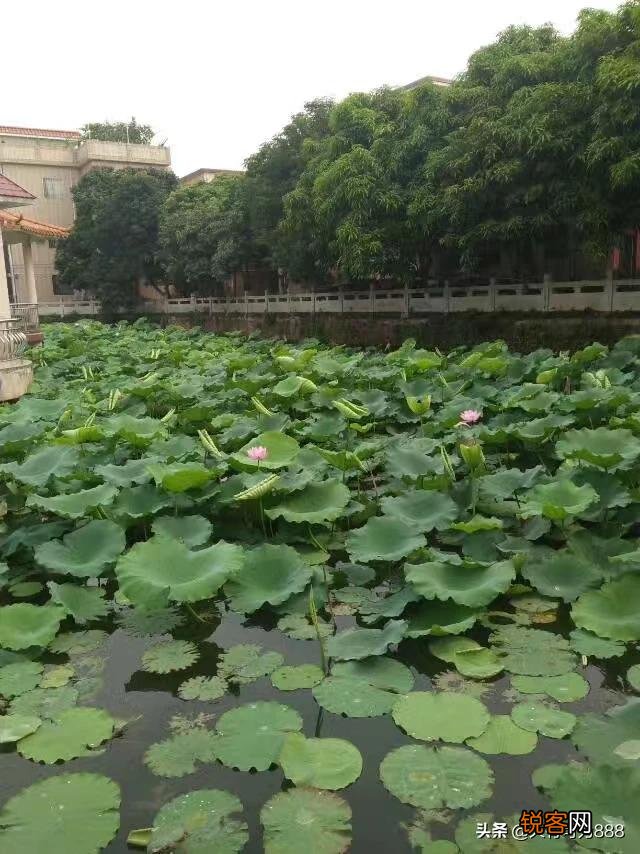 有什么老歌推荐吗？