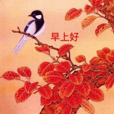 曾让你单曲循环的经典老歌你还记得吗?