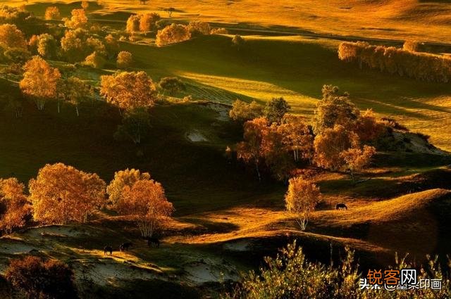 摄影中的AV档适合拍摄哪些题材？