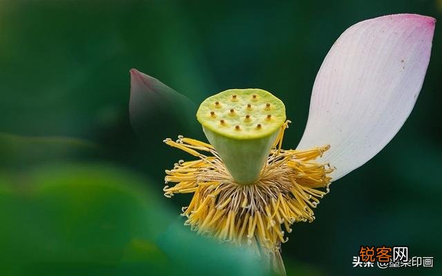 摄影中的AV档适合拍摄哪些题材？