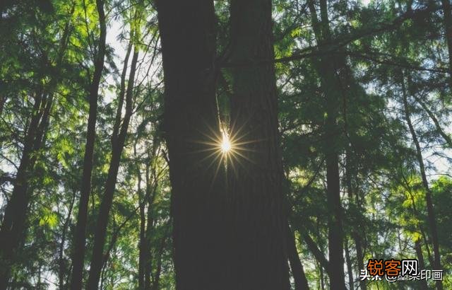 摄影中的AV档适合拍摄哪些题材？