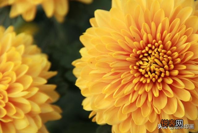 摄影中的AV档适合拍摄哪些题材？