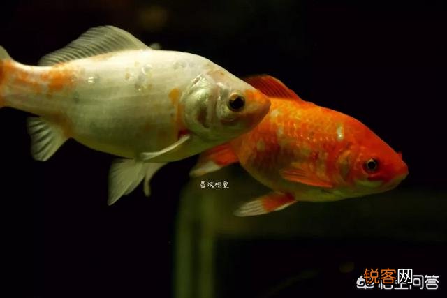 摄影中的AV档适合拍摄哪些题材？