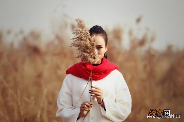 摄影中的AV档适合拍摄哪些题材？