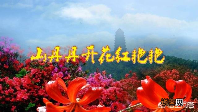 你认为哪些老歌是永恒的经典？