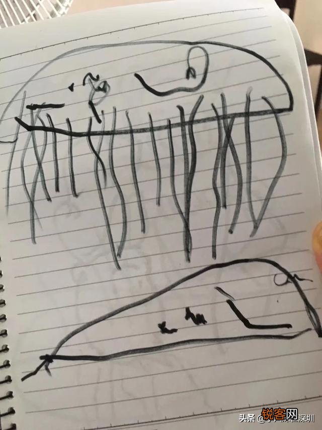 感觉儿子最近很喜欢涂涂画画,家人都很支持他去学画画,你们说到底该不该给他学啊？