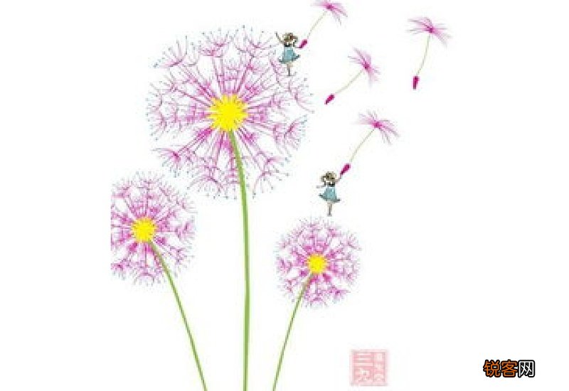 蒲公英有减肥效果吗 蒲公英对减肥有作用吗