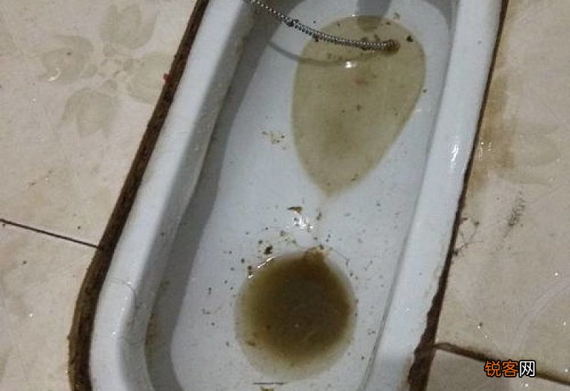 厕所下水道堵塞怎么疏通