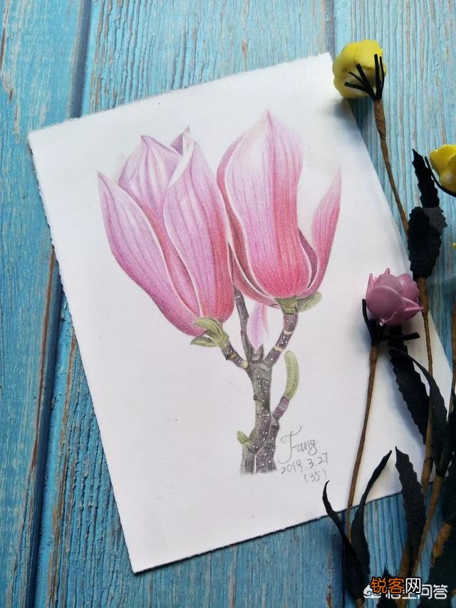每天画一小时彩铅画,一年后什么水平？
