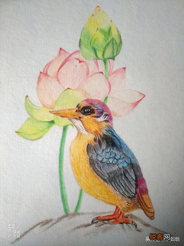 每天画一小时彩铅画,一年后什么水平？