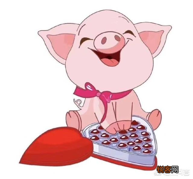 为什么魏晋南北朝时期的宗教信仰比较自由？