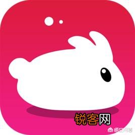 中国人气最高的直播app是什么,你怎么看？