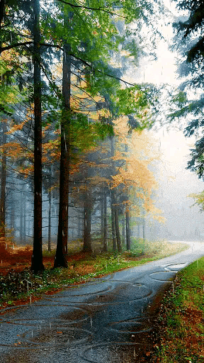 “不妨大胆点,反正我们都不会活着离开这世界”你们怎么看待这句话？