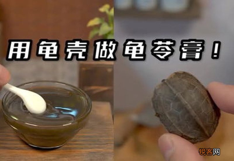 龟苓膏是龟壳做的吗