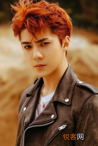 EXO12位成员现状 黄子韬回家继承父业，鹿晗因恋爱打烂一手好牌