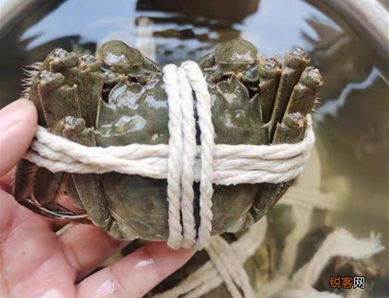 大闸蟹怎么蒸呢 最忌直接上锅蒸