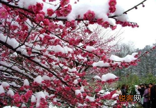 十二月去哪里旅游最好 6个景色美丽的地方推荐