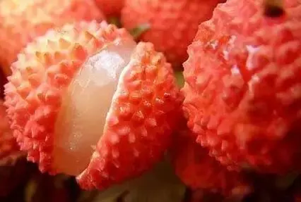 香蕉是凉性还是热性 水果手册