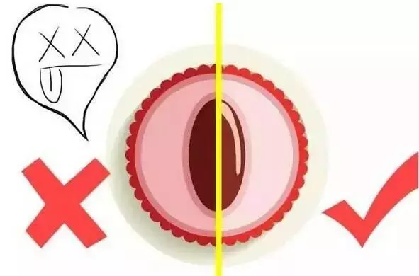 香蕉是凉性还是热性 水果手册