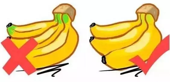 香蕉是凉性还是热性 水果手册
