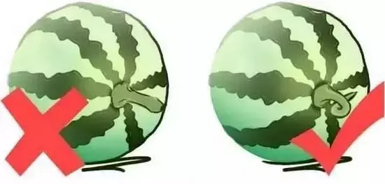 香蕉是凉性还是热性 水果手册