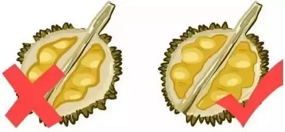 香蕉是凉性还是热性 水果手册