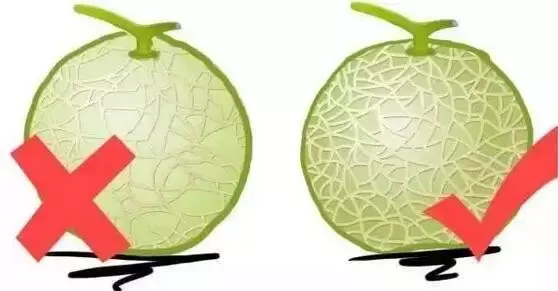 香蕉是凉性还是热性 水果手册