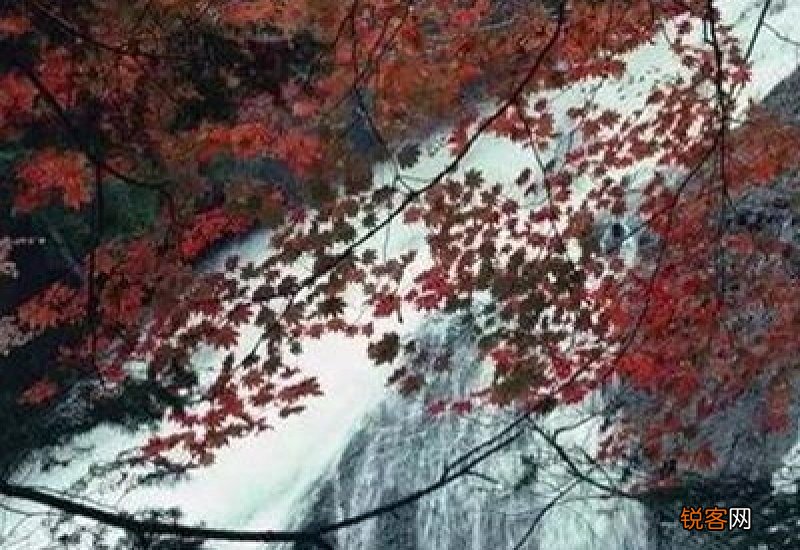 小溪泛尽却山行的意思是什么?