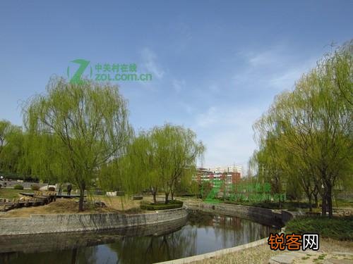 色彩还原效果怎么样 佳能IXUS 310值得买吗