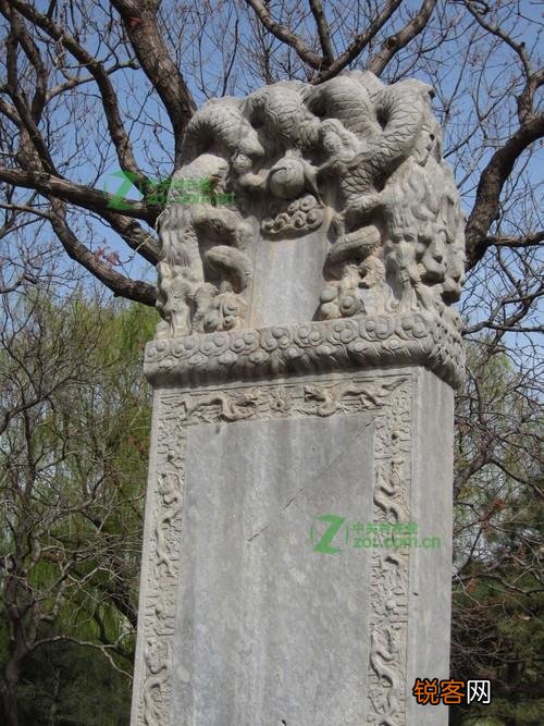 色彩还原效果怎么样 佳能IXUS 310值得买吗