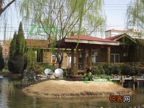 色彩还原效果怎么样 佳能IXUS 310值得买吗