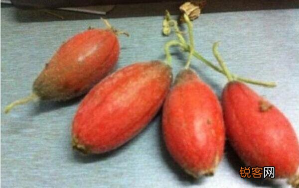 东北菜一道非常重视刀工的菜(改刀肉是什么地方的菜）