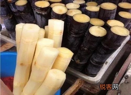 常见水果的成熟时间 多吃应季水果 对身体有好处