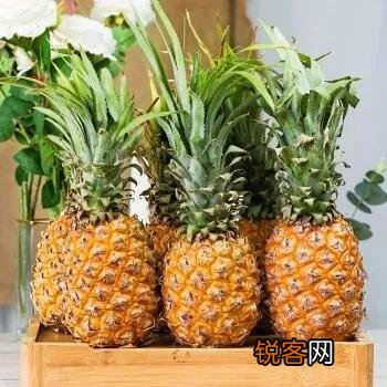 常见水果的成熟时间 多吃应季水果 对身体有好处