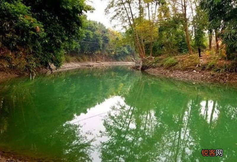 青山绿水怎么造句,青山绿水成语造句