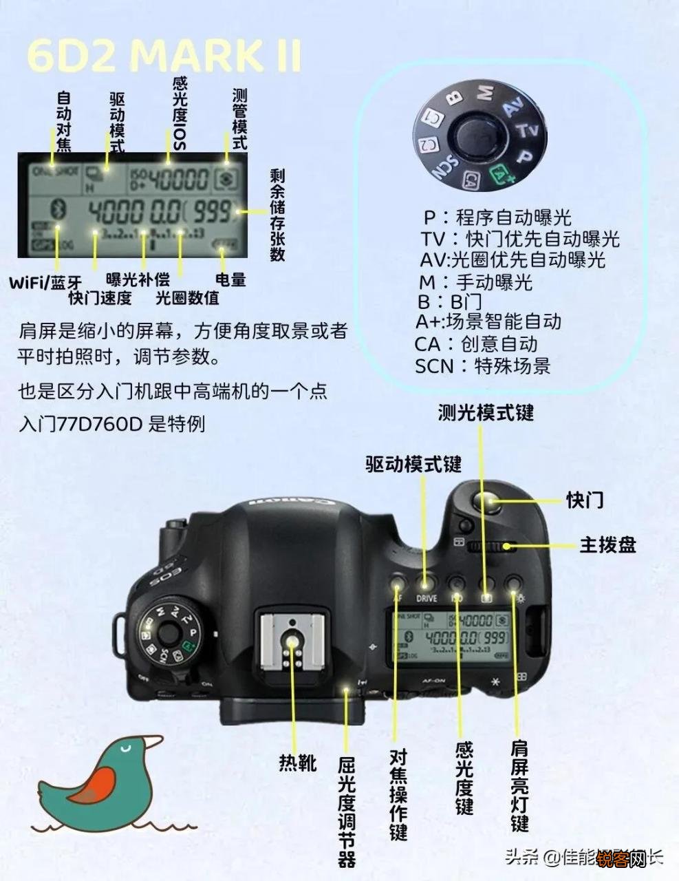 6d2最新价格及参数 佳能6D2拍摄视频技巧
