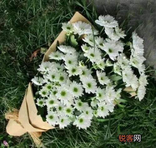 你有没有遇到或者听到,农村发生的不可思议的事情？