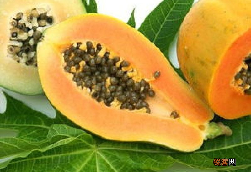 木瓜有什么养生功效 吃木瓜的养生功效是什么