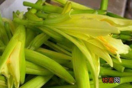 孕妈妈十大禁忌蔬菜有哪些