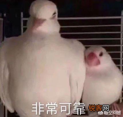 周末想自驾出去玩,在哪租车比较好？