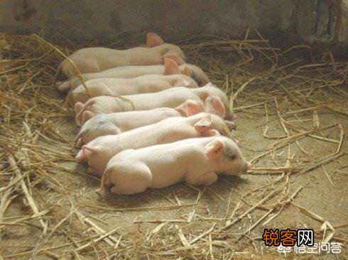 说说你在农村老家遇到过的奇怪事情？
